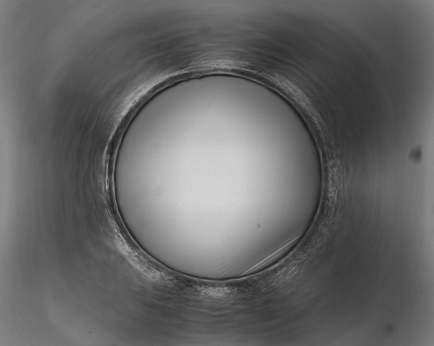 X0000116331031200912151301