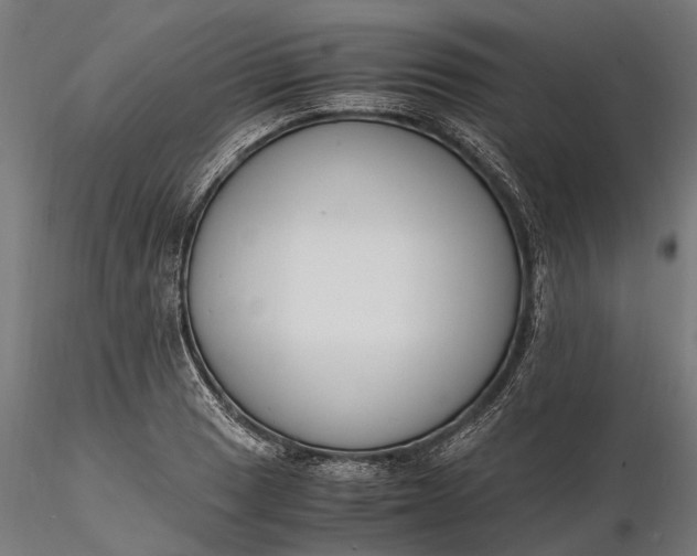 X0000116331033200912151301