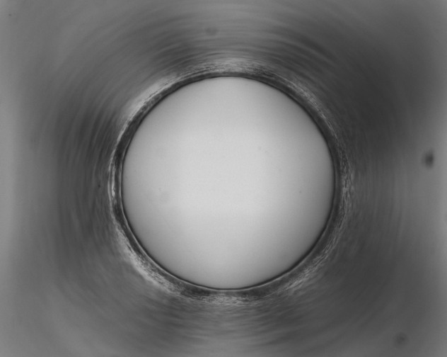 X0000116331034200912151301