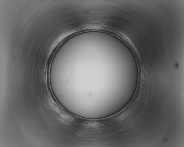 X0000116331035200912151301