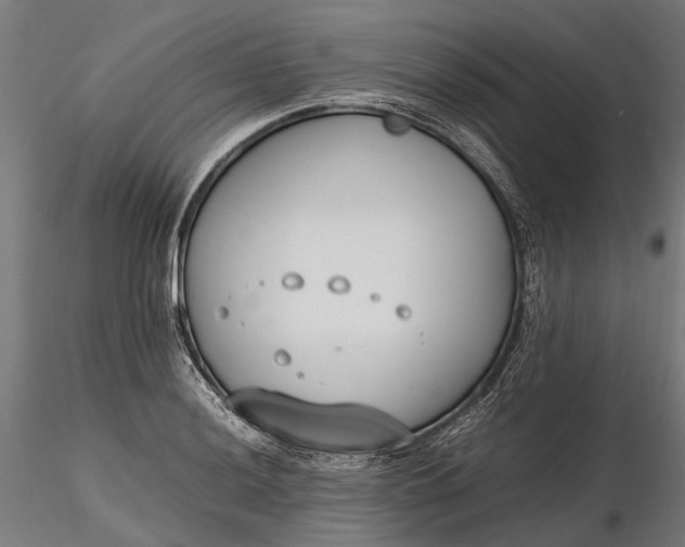X0000116331036200912151301