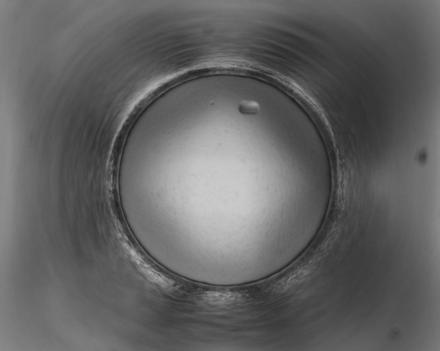 X0000116331037200912151301