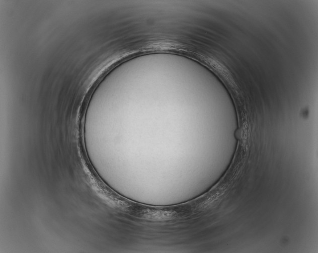 X0000116331039200912151301