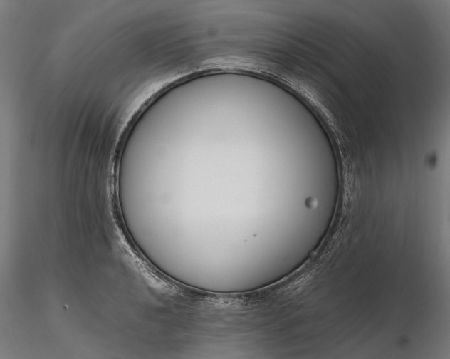 X0000116331040200912151301