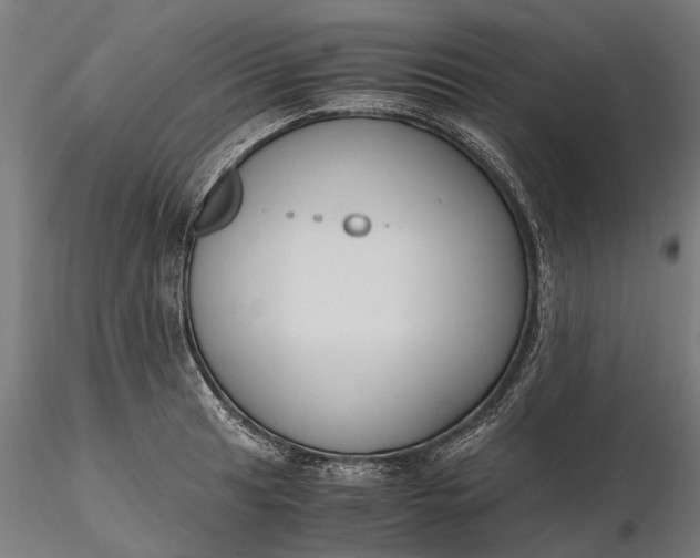 X0000116331041200912151301