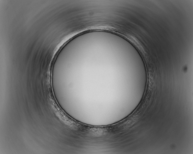 X0000116331044200912151301