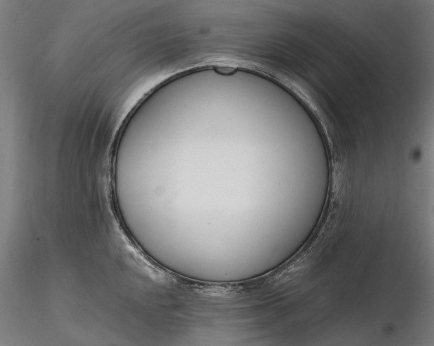 X0000116331048200912151301