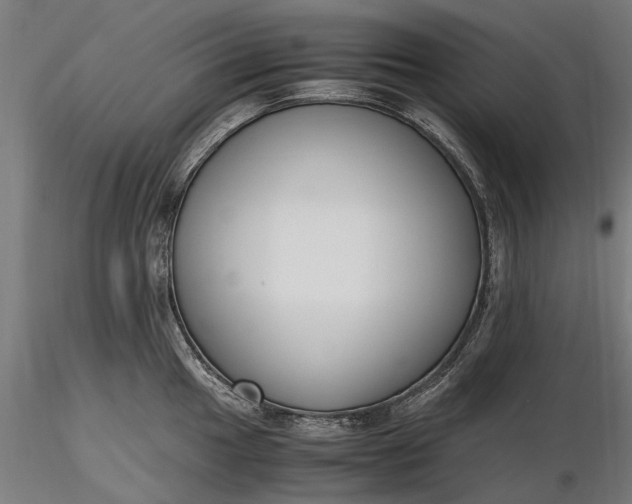 X0000116331049200912151301