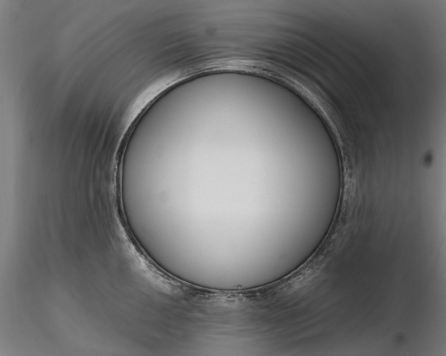 X0000116331050200912151301