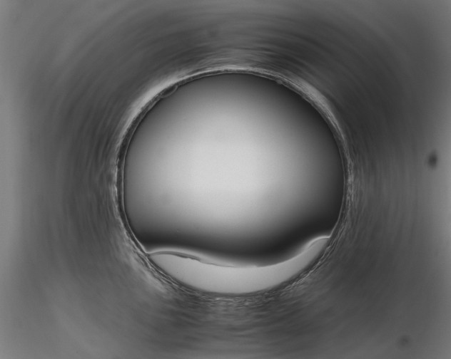 X0000116331051200912151301