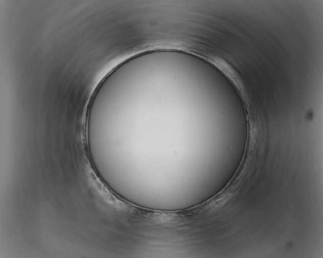 X0000116331052200912151301
