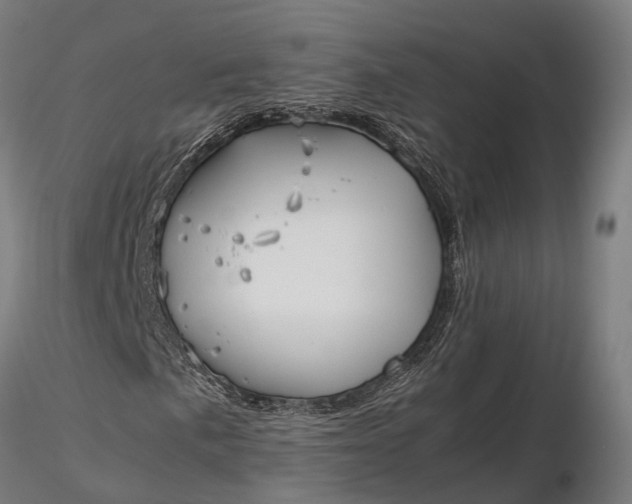 X0000116331057200912151300