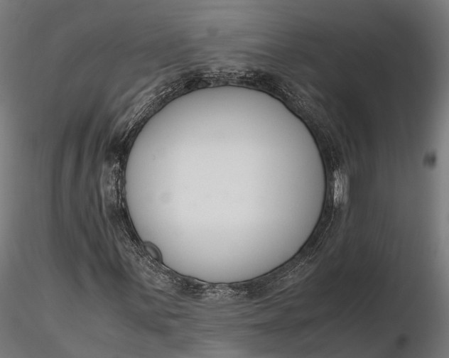 X0000116331059200912151300
