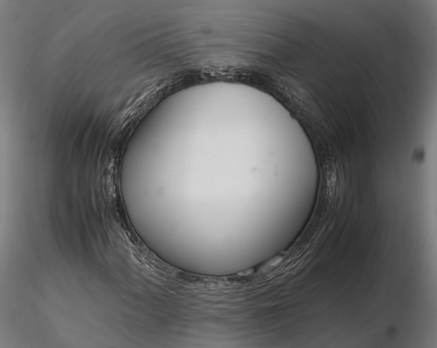 X0000116331060200912151300