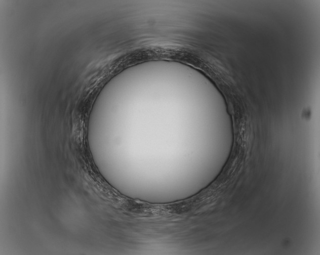 X0000116331061200912151300