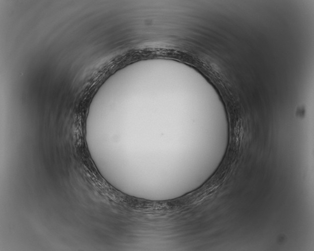 X0000116331062200912151300