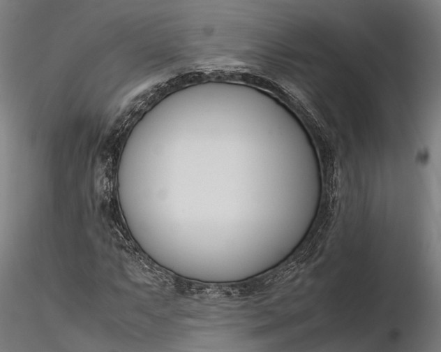 X0000116331063200912151300