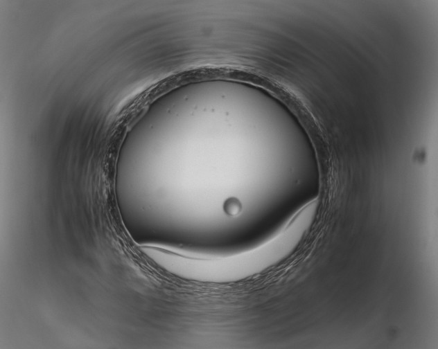 X0000116331064200912151300