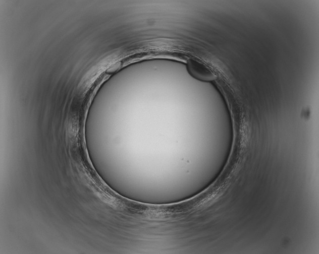 X0000116331065200912151300