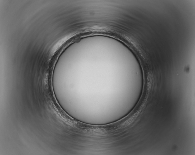 X0000116331066200912151300