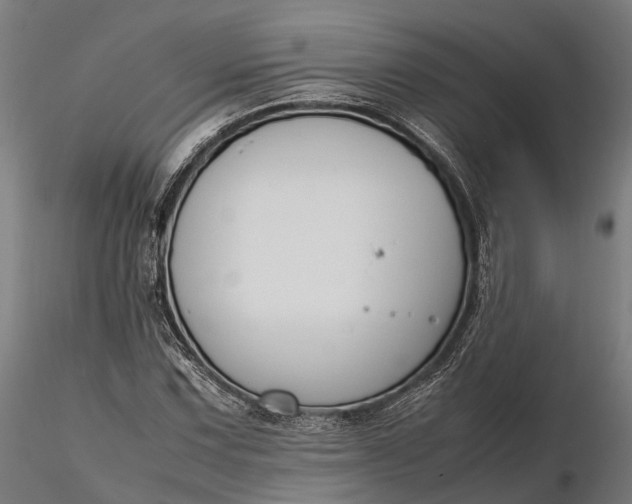 X0000116331067200912151300
