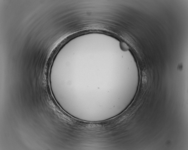 X0000116331068200912151300