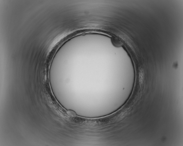 X0000116331069200912151300