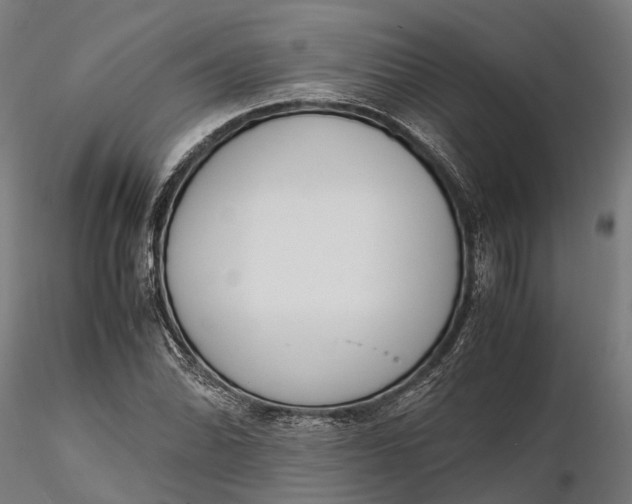 X0000116331070200912151300
