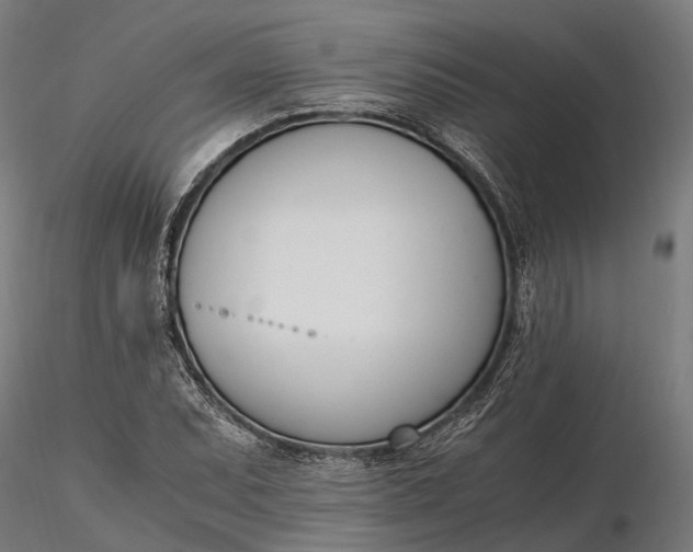 X0000116331071200912151300