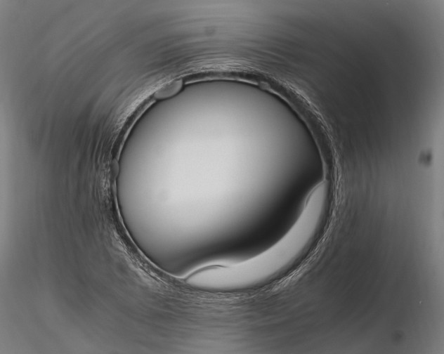 X0000116331073200912151300