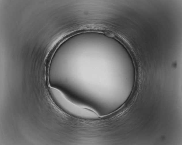 X0000116331075200912151300