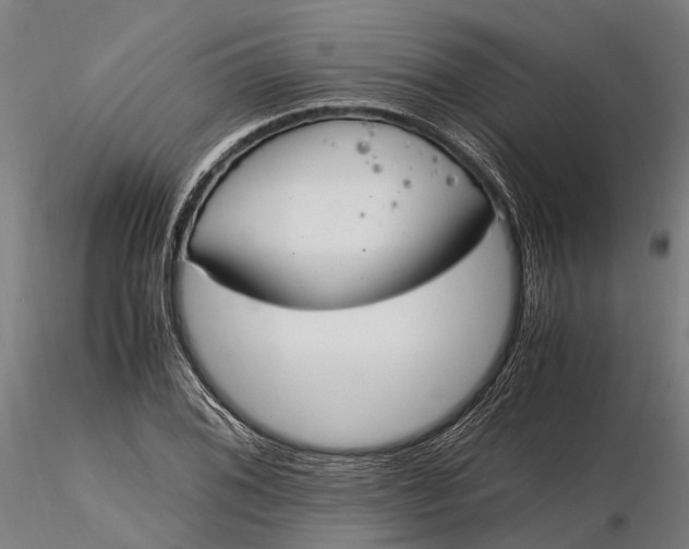 X0000116331076200912151300