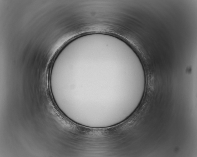 X0000116331078200912151300