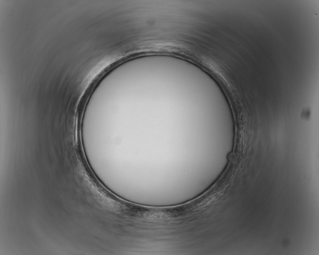 X0000116331079200912151300