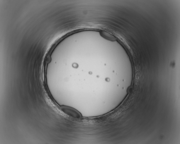 X0000116331080200912151300