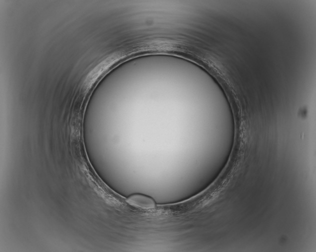 X0000116331081200912151300