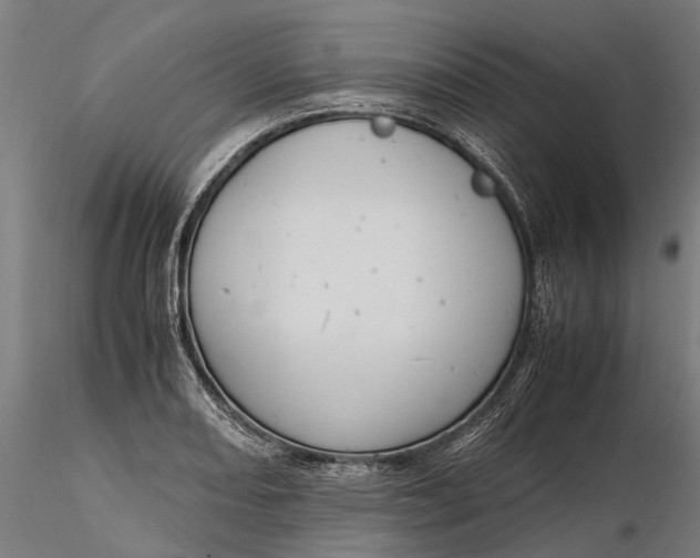 X0000116331082200912151300
