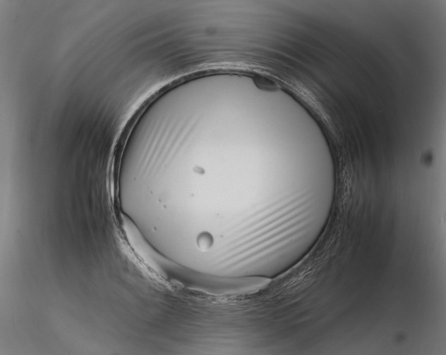 X0000116331084200912151300