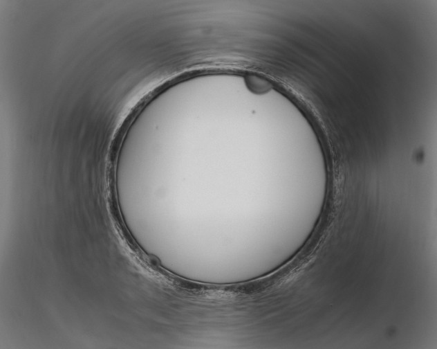 X0000116331085200912151300
