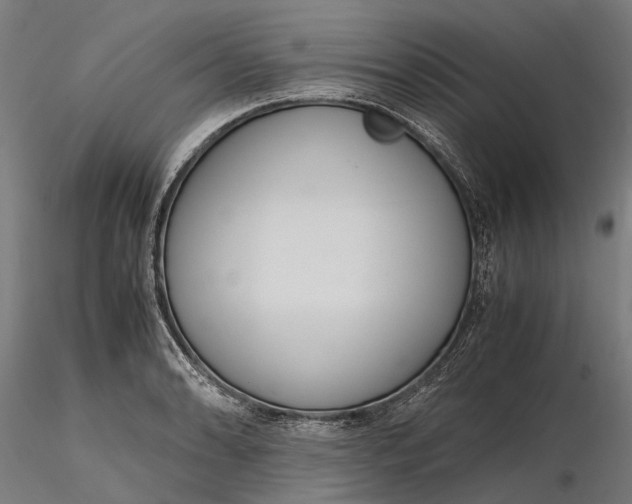 X0000116331086200912151300
