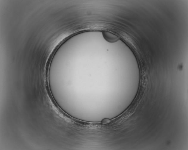 X0000116331087200912151300