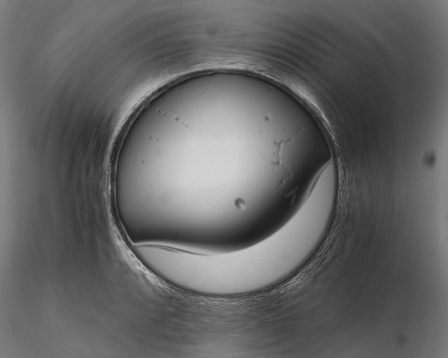 X0000116331088200912151300