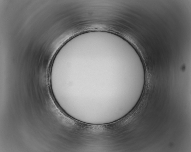 X0000116331090200912151300