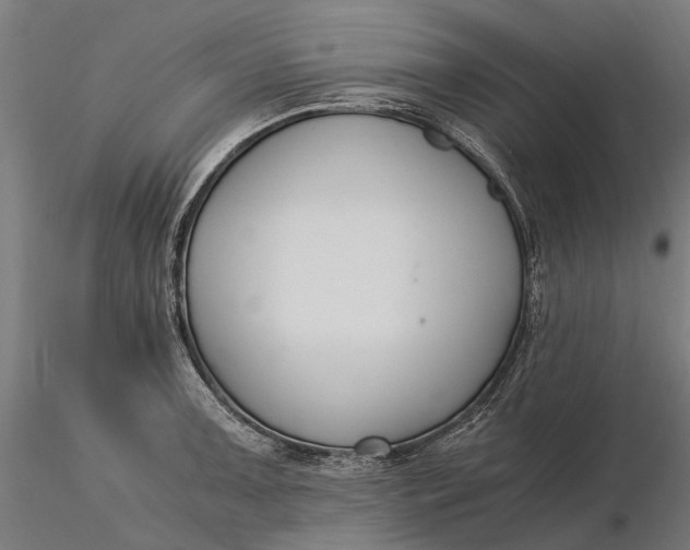 X0000116331091200912151300