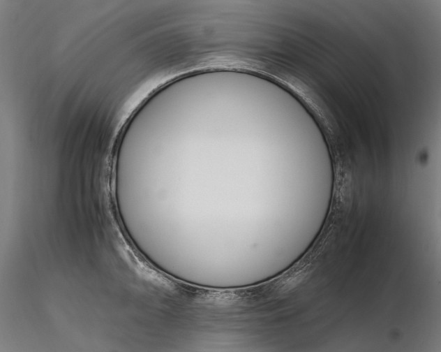 X0000116331094200912151300