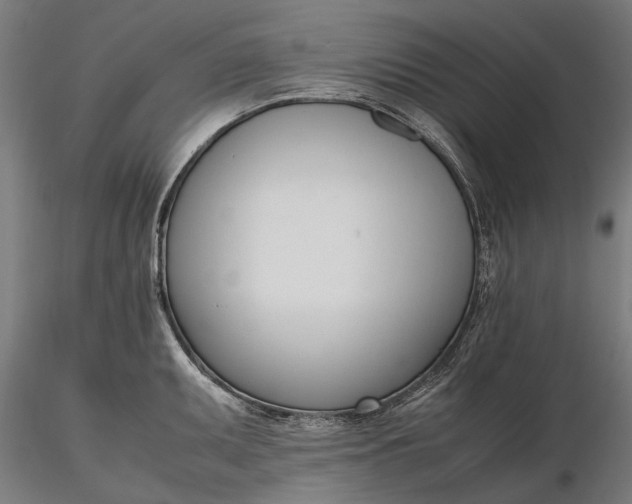 X0000116331095200912151300
