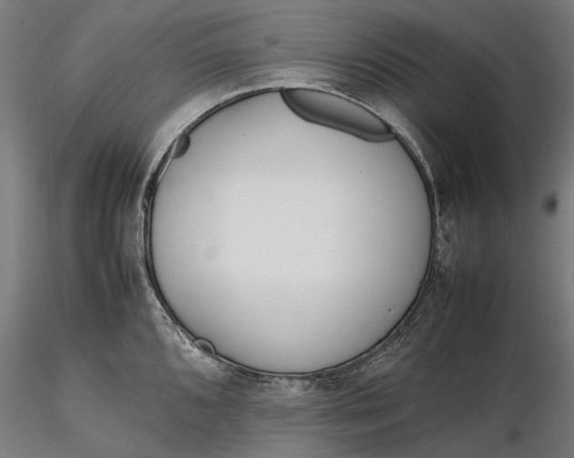 X0000116331096200912151300