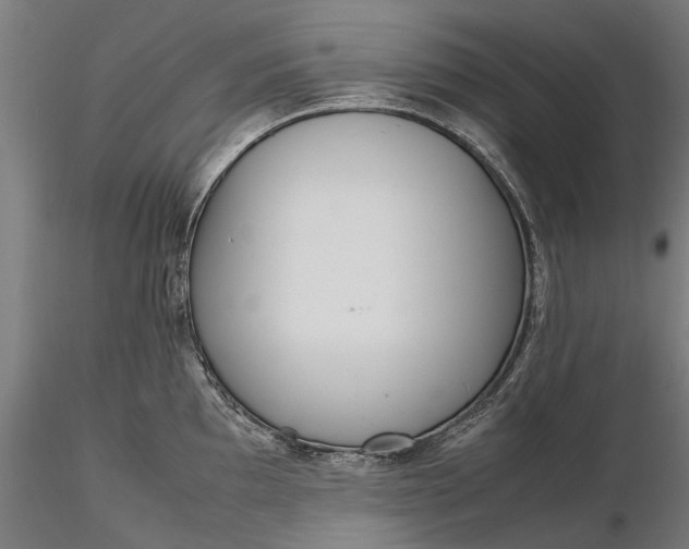 X0000116331097200912151300