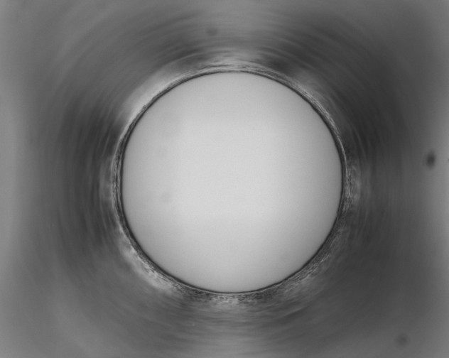 X0000116331098200912151300