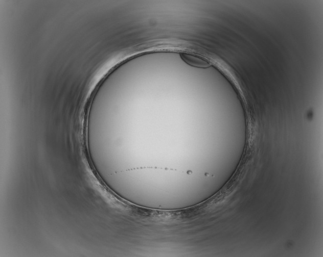 X0000116331099200912151300